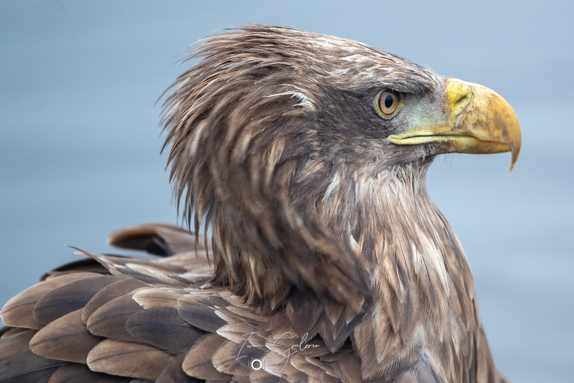 1DX46869 12 december 2021 1444 38